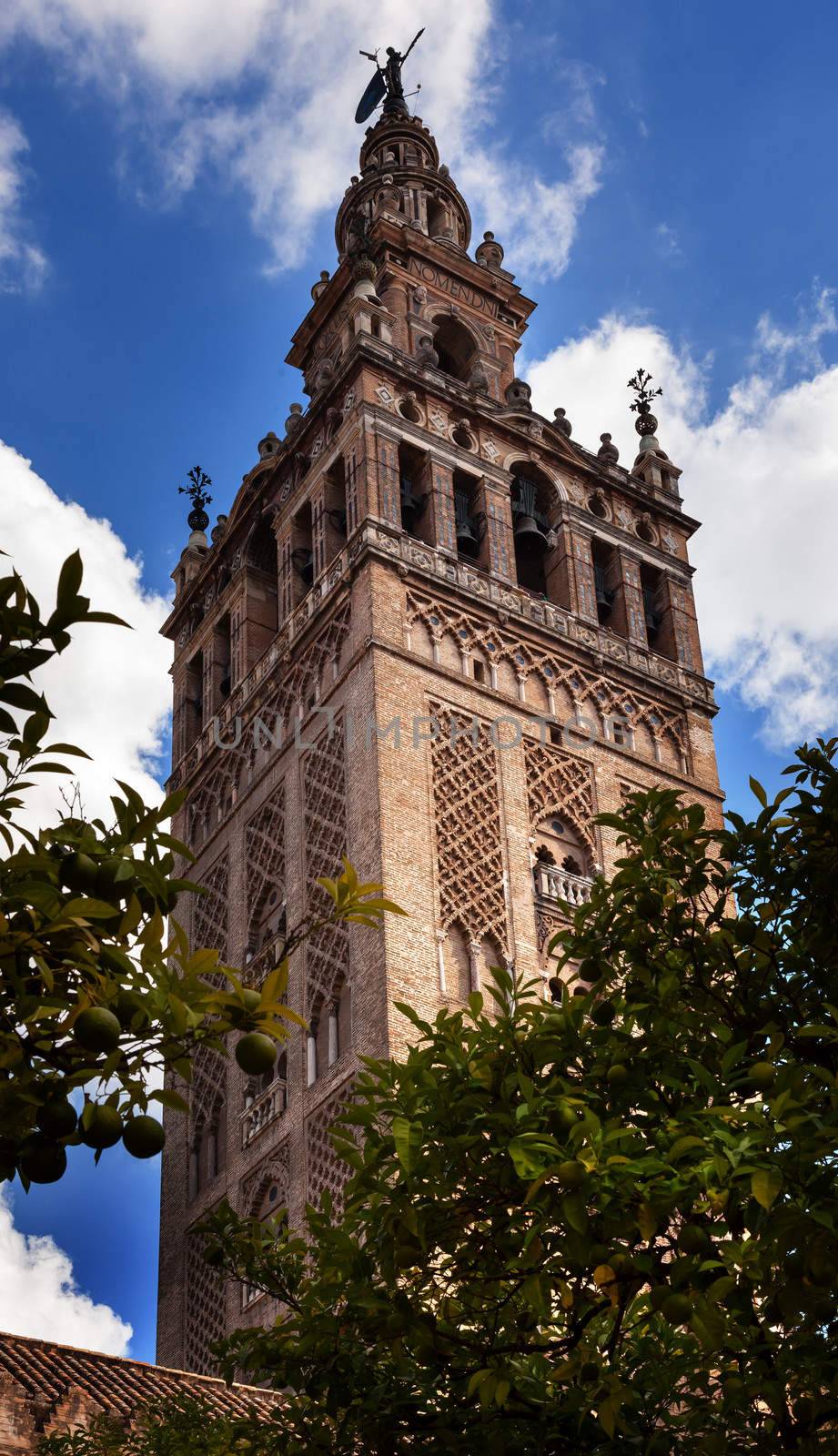 Giralda Spire, Bell Tower, From Orange Garden, Seville Cathedral, Cathedral of Saint Mary of the See, Seville, Andalusia Spain.  Built in the 1500s.  Largest Gothic Cathedral in the World and Third Largest Church in the World.  Burial Place of Christopher Columbus.  Giralda is a former minaret converted into a bell tower