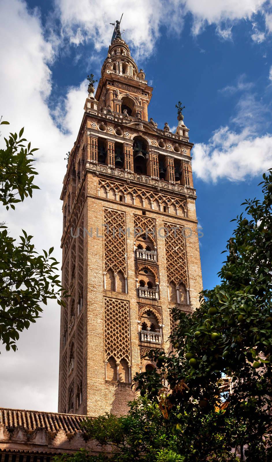 Giralda Spire, Bell Tower, From Orange Garden Seville Cathedral, Cathedral of Saint Mary of the See, Seville, Andalusia Spain.  Built in the 1500s.  Largest Gothic Cathedral in the World and Third Largest Church in the World.  Burial Place of Christopher Columbus.  Giralda is a former minaret converted into a bell tower