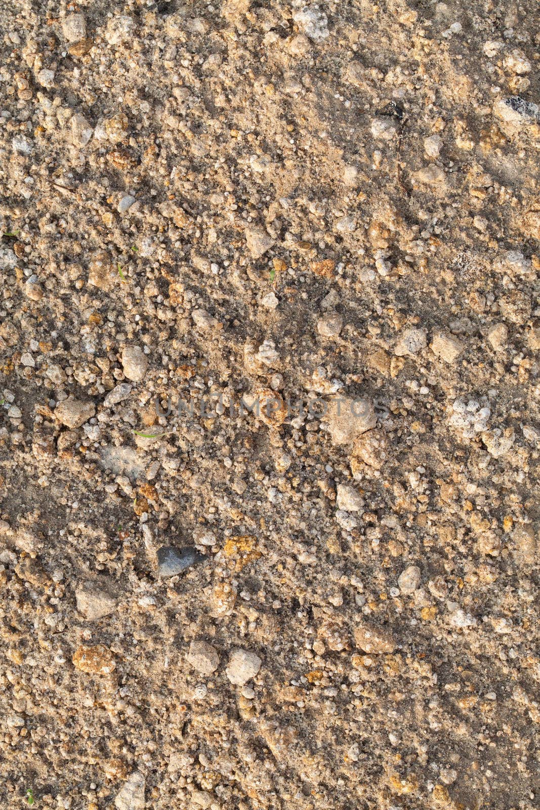 Seamless texture of a sand and soil with stones. Closeup