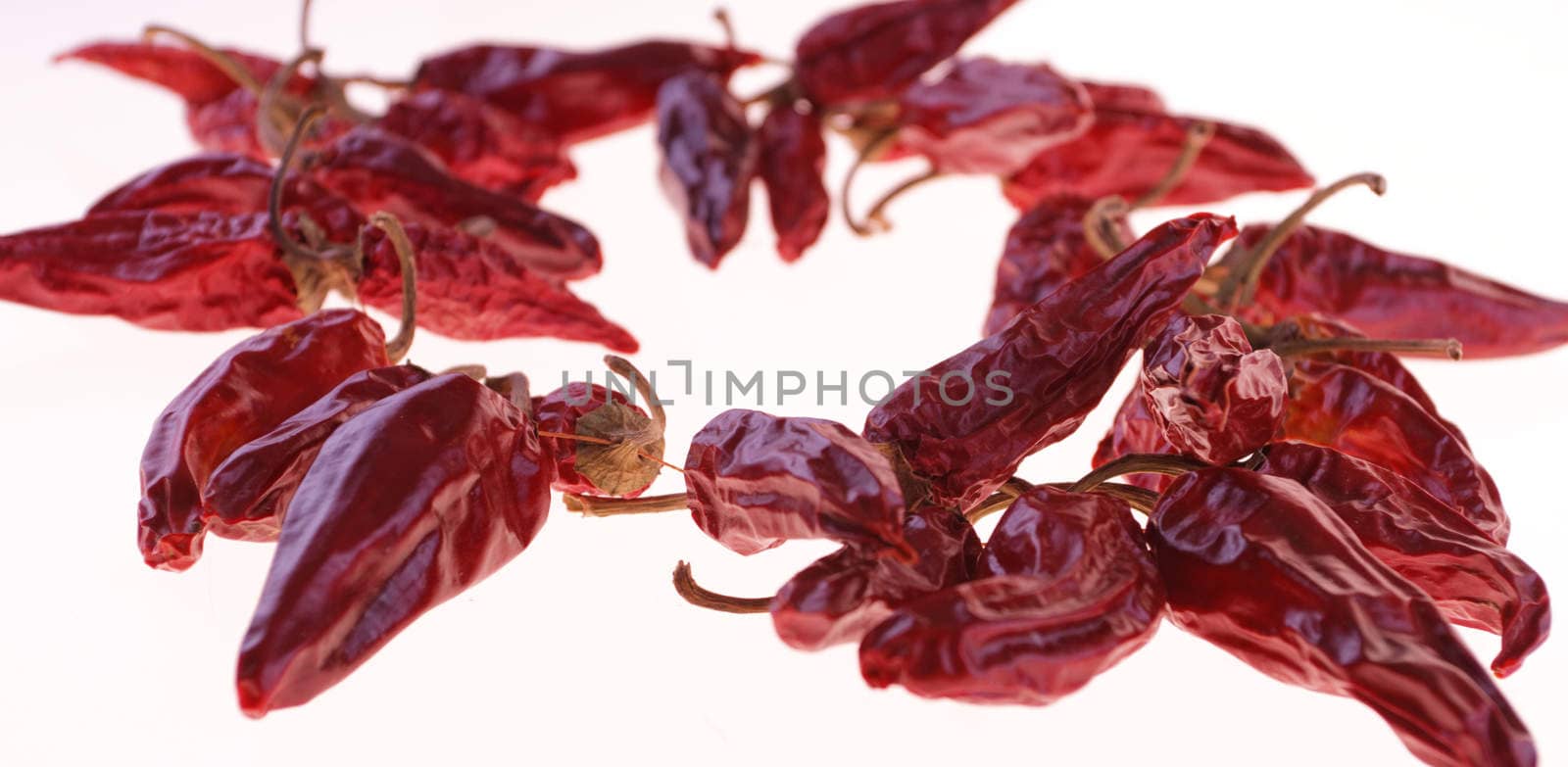 red pepper on white background by NagyDodo