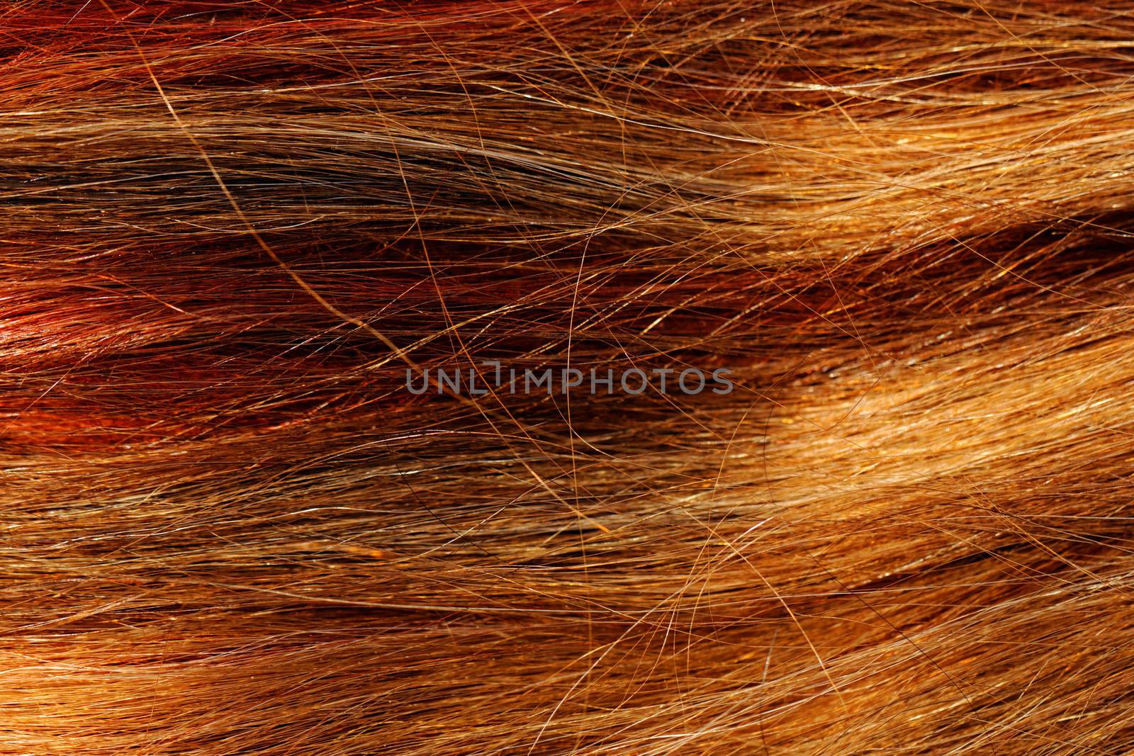hair texture by NagyDodo