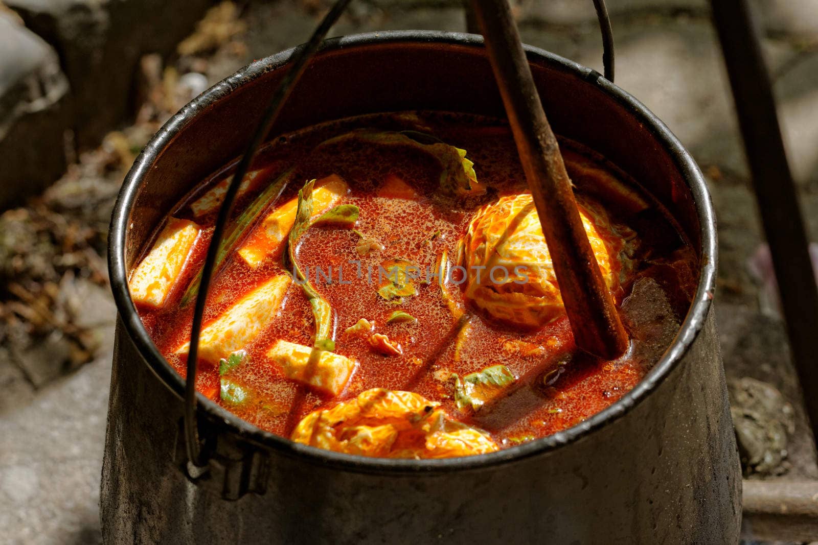 food cooking in stew pot in the nature