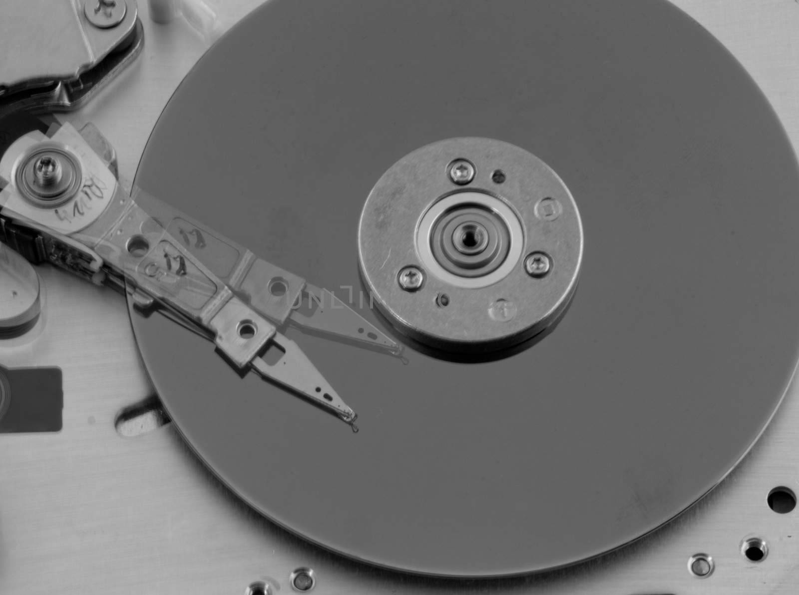 Open computer hard drive on white background by NagyDodo