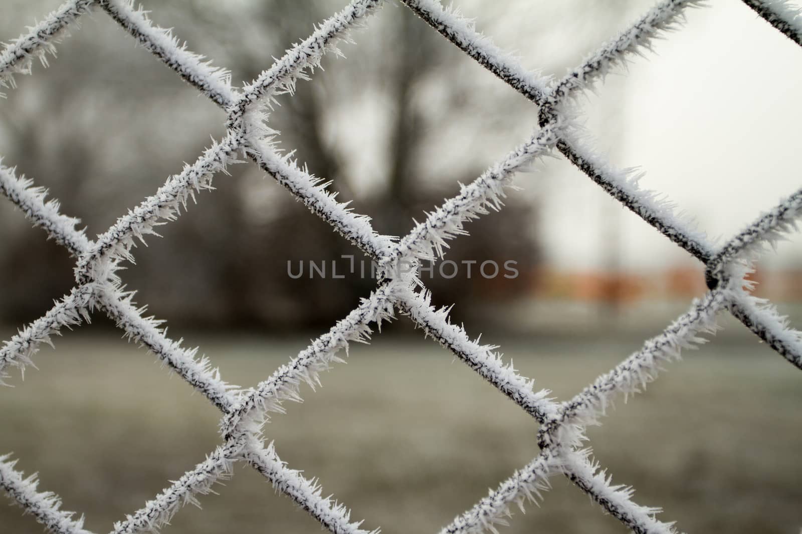 wire fence texture with hoarfrost overlay
