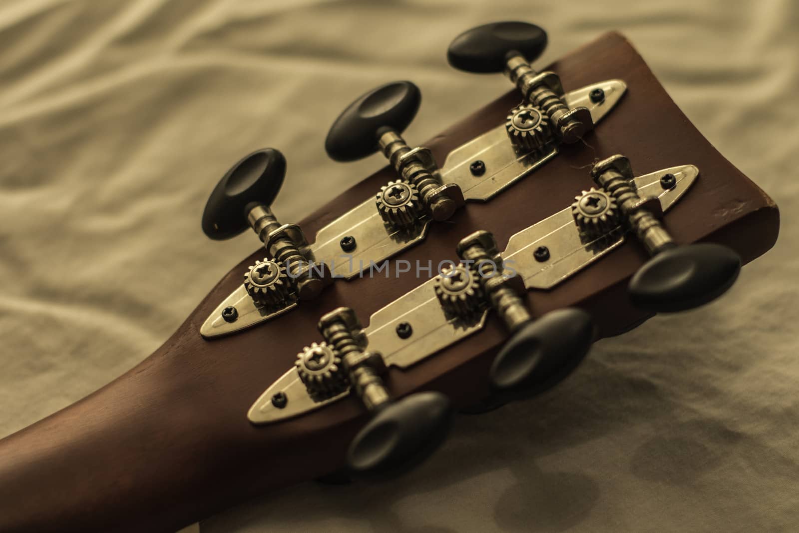 Detailed picture of an acoustic guitar headstock.