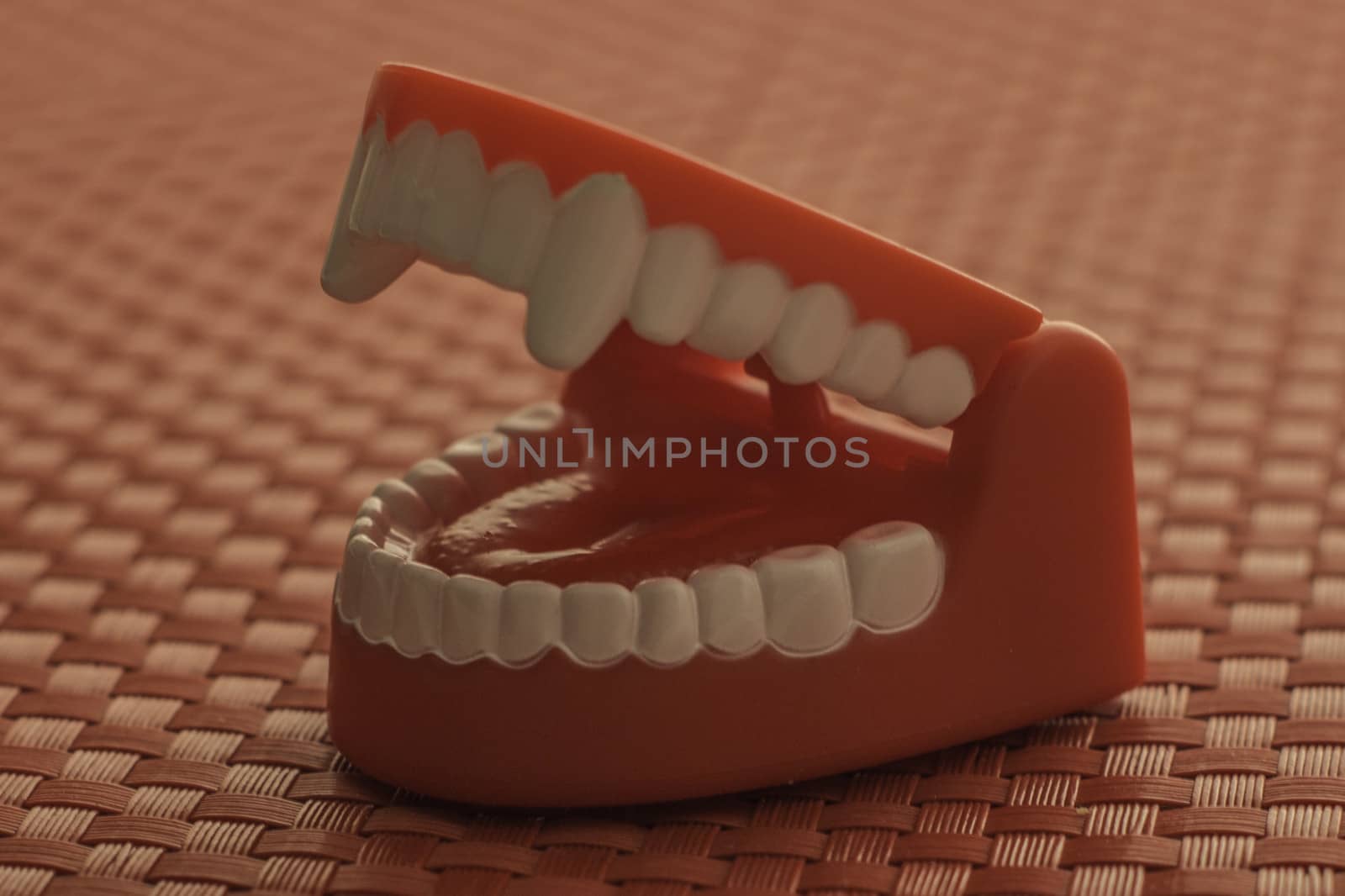 Toy Teeth by schubphoto