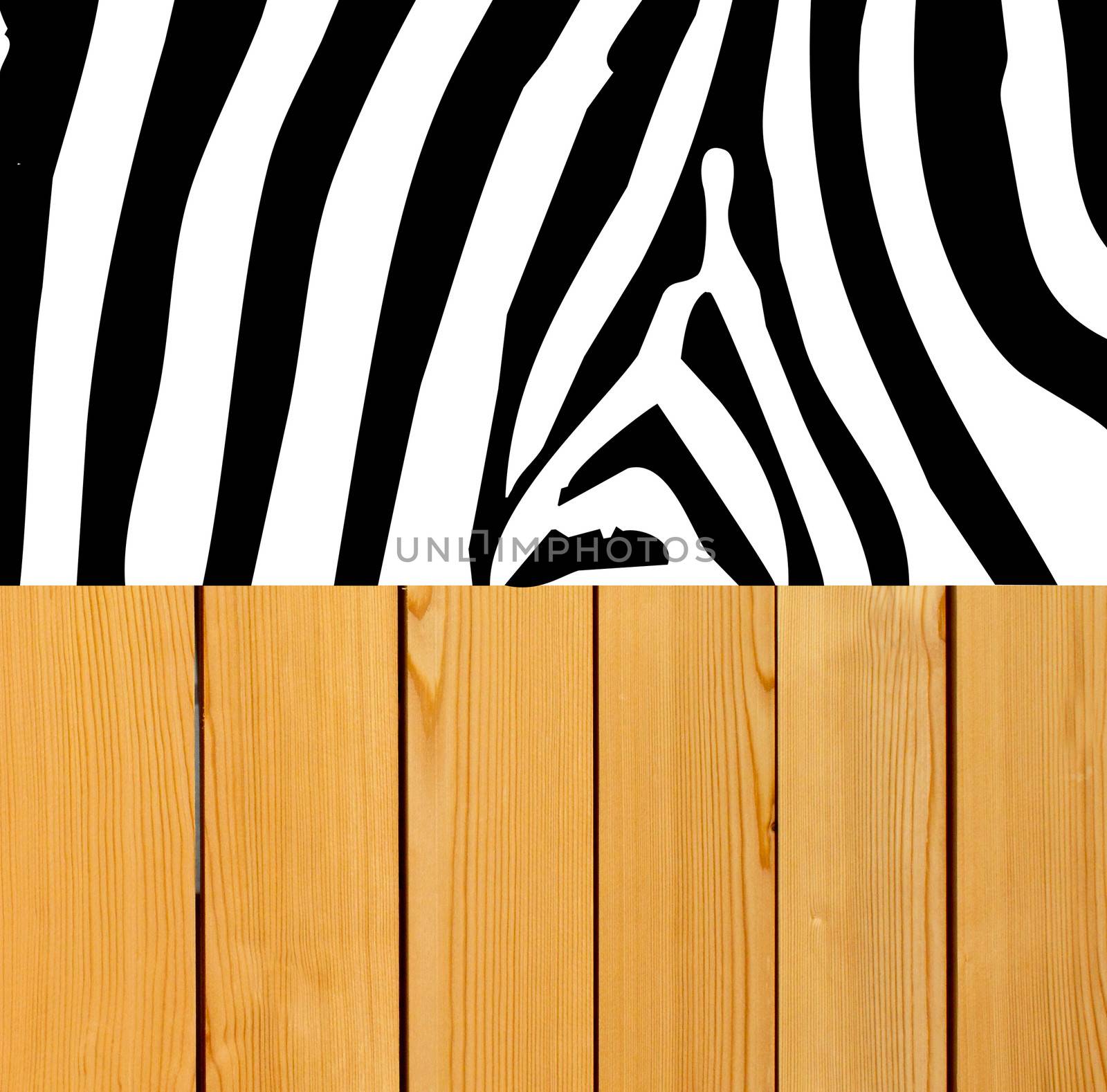 Zebra skin on wood background  by nuchylee