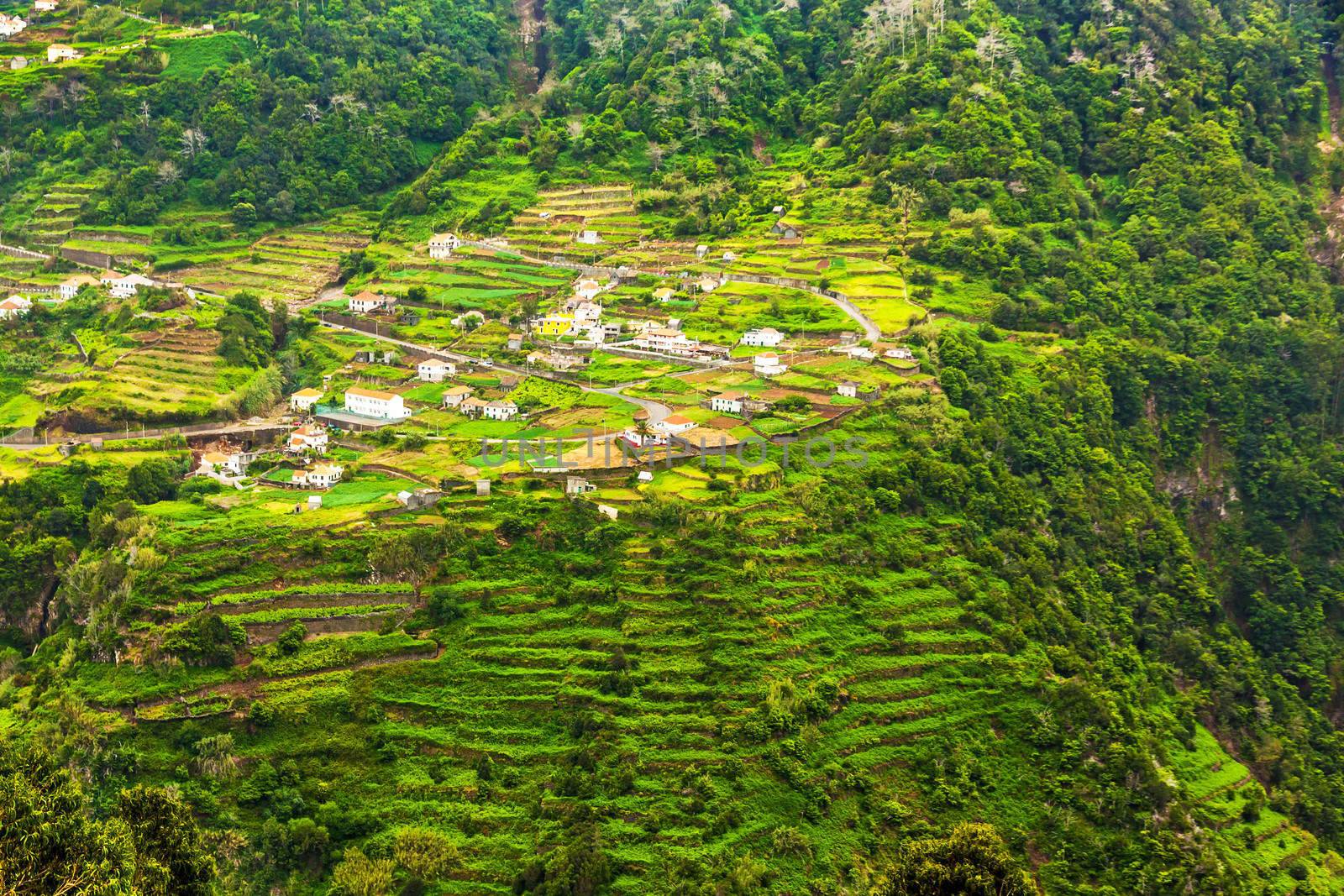 Cultivated terraced hill on a cliff on the island of Madeira