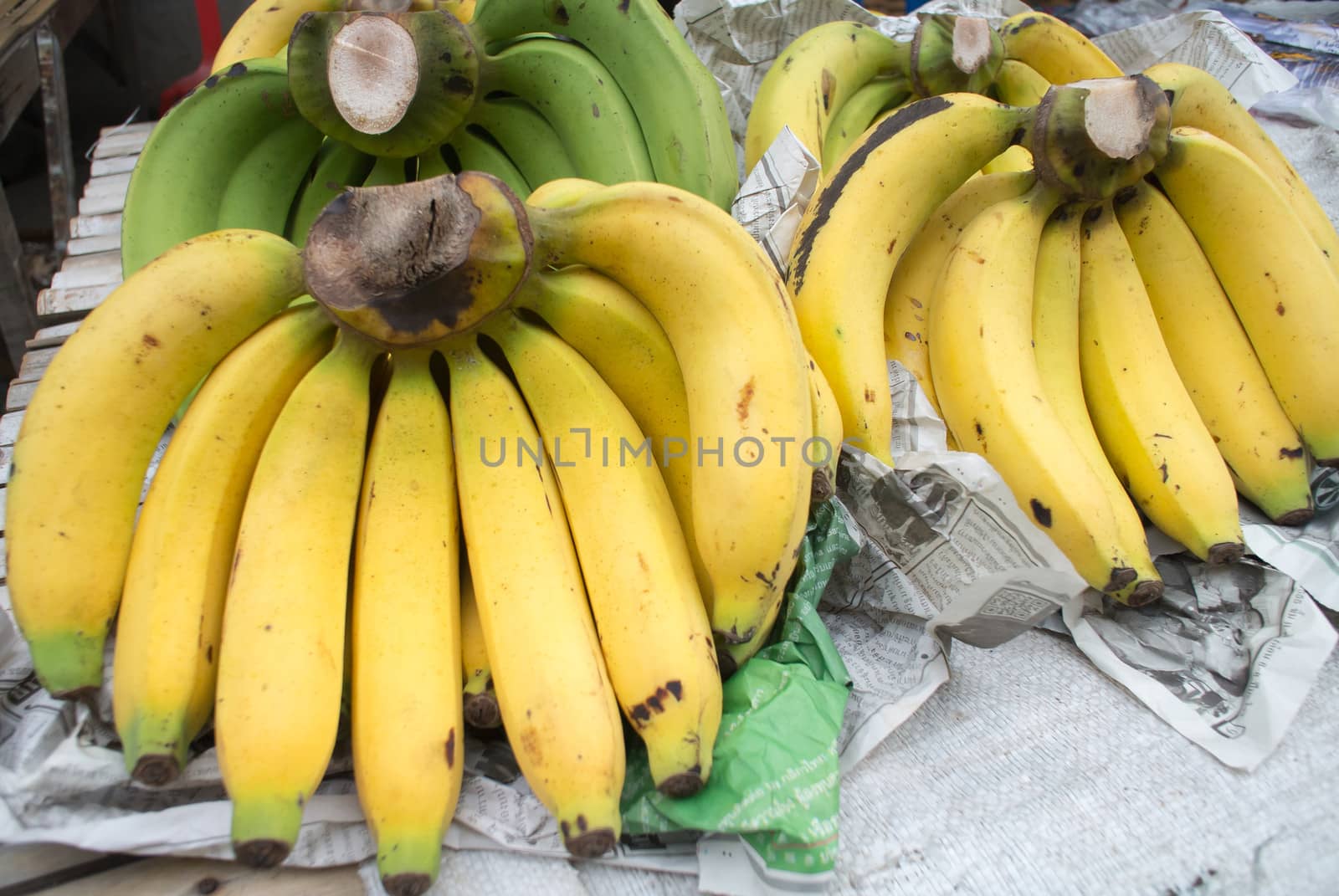 Gros Michel banana,cultivated banana