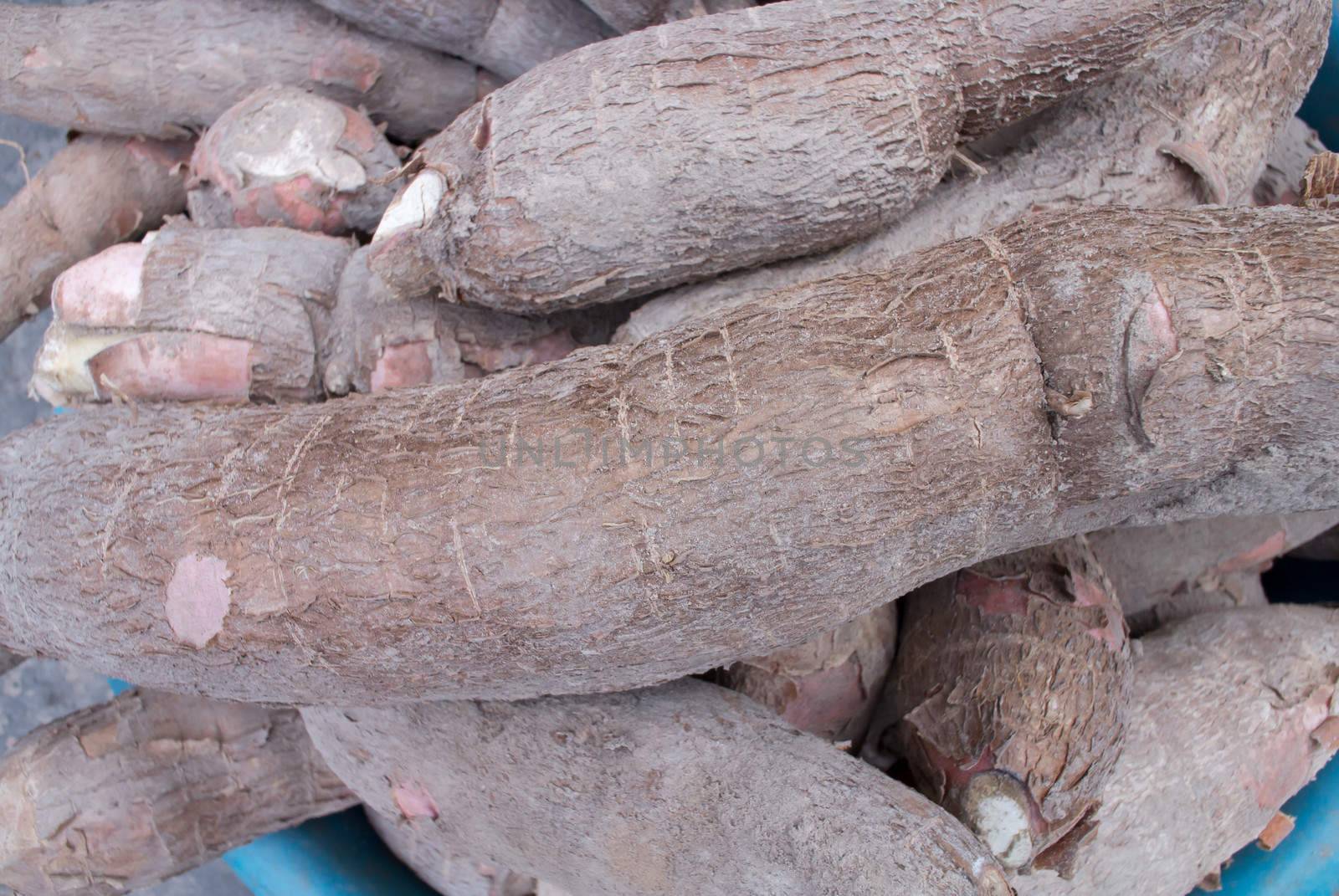 group of Tapioca or Cassava