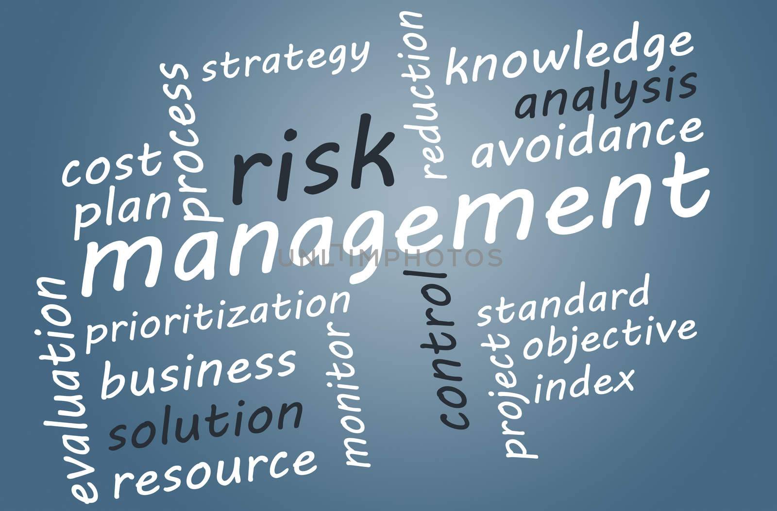 Risk Management by Mazirama