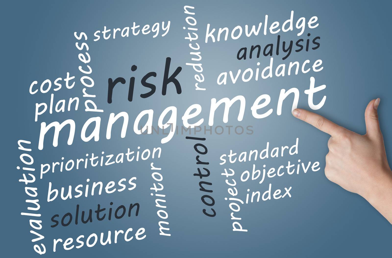 Risk Management by Mazirama