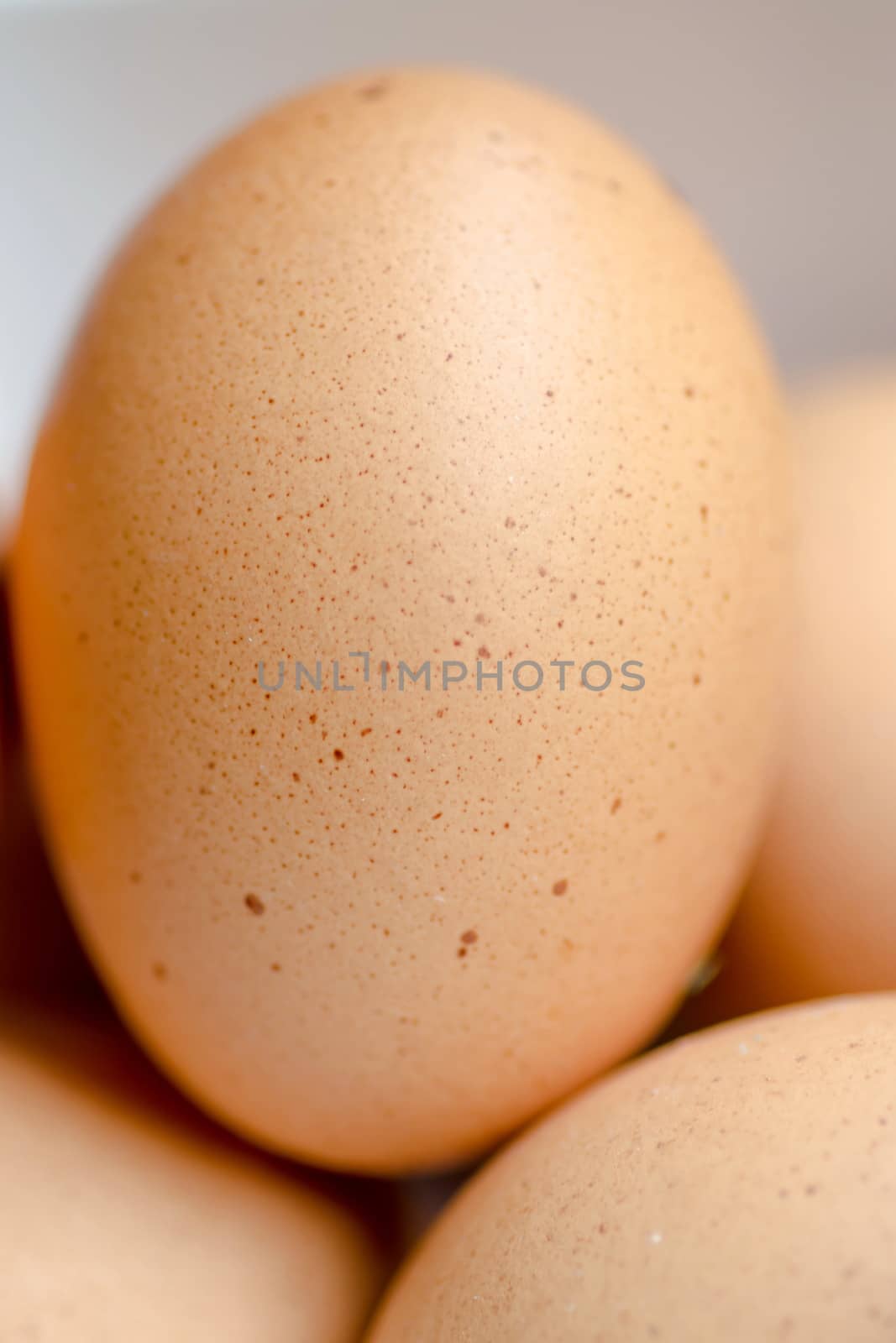 close up of fresh chicken eggs