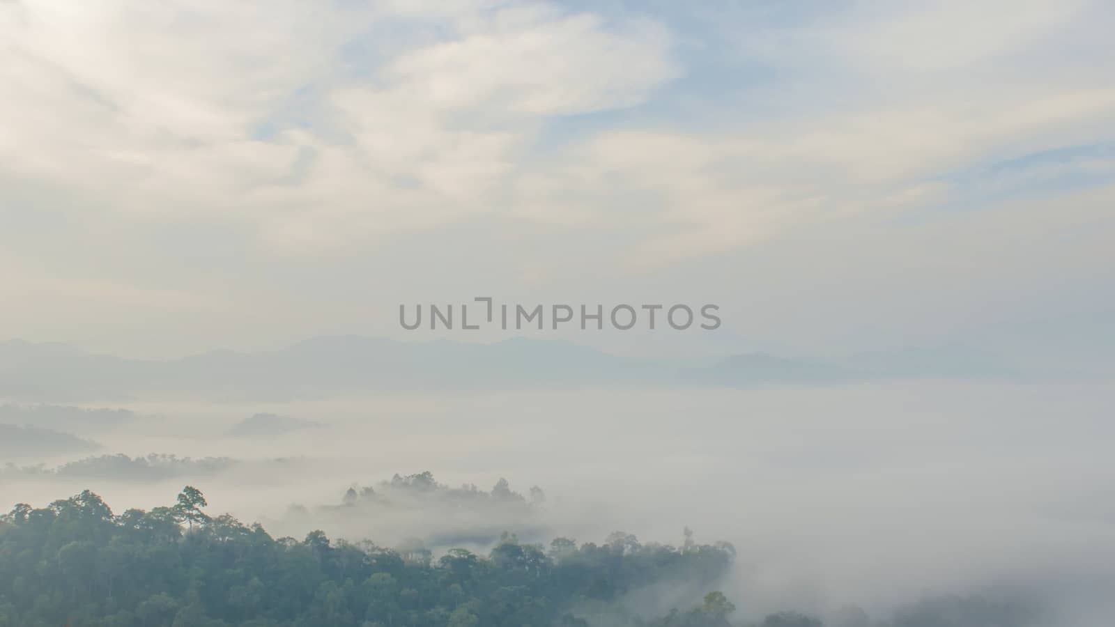 fog sea at PanoenThung view point in Kaeng Krachan national park,Thailand