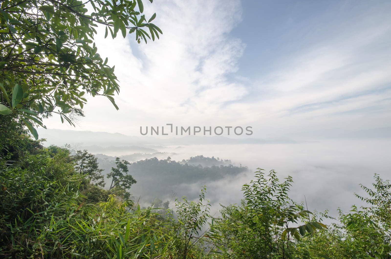 Morning Mist at Tropical Mountain Range,This place is in the Kaeng Krachan national park,Thailand 