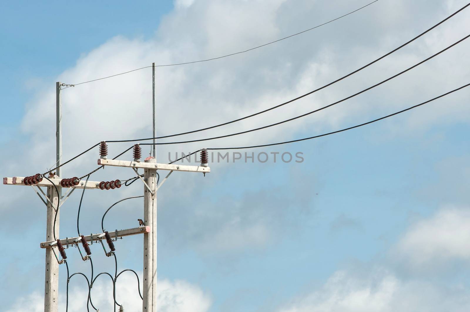 power line under bright blue sky background