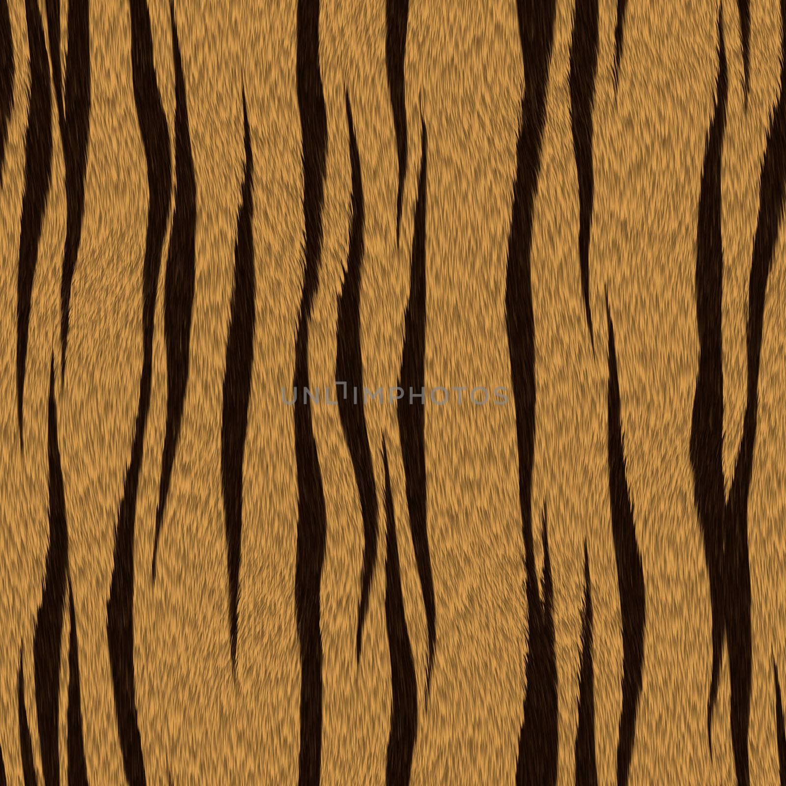 texture of real tiger skin ( fur ) by sfinks