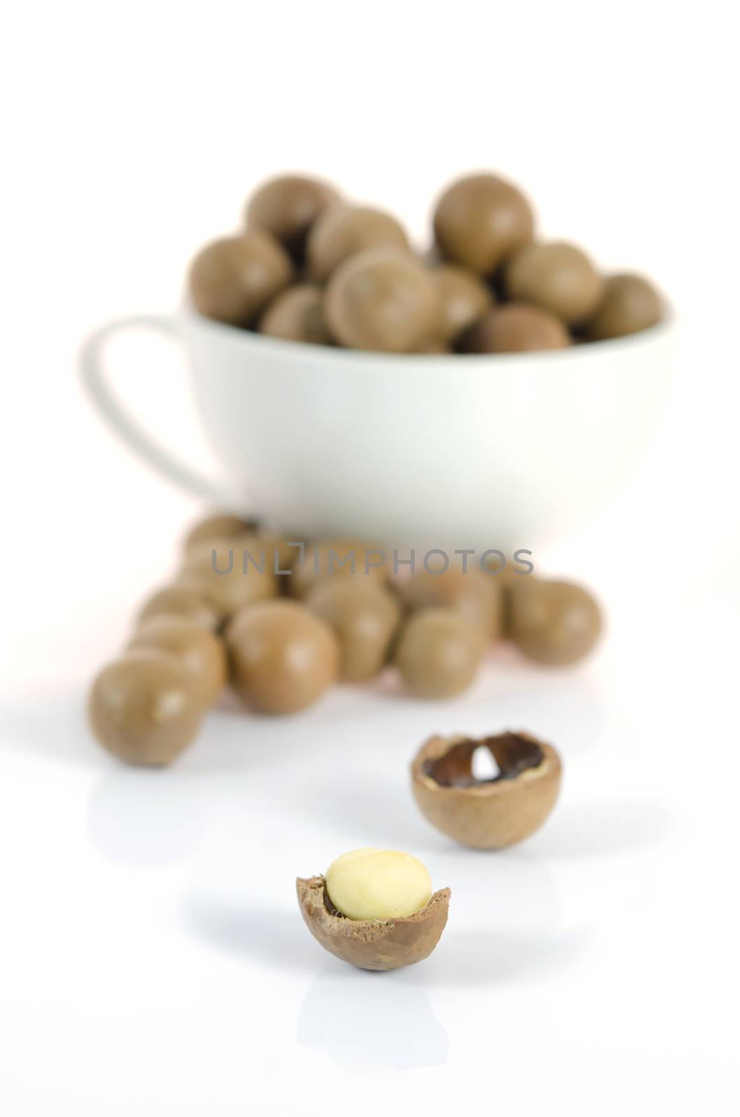 close up shelled  macadamia  , macadamia on white background