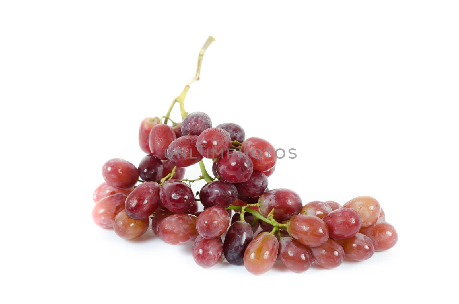  fresh  grapes fruit  over white background