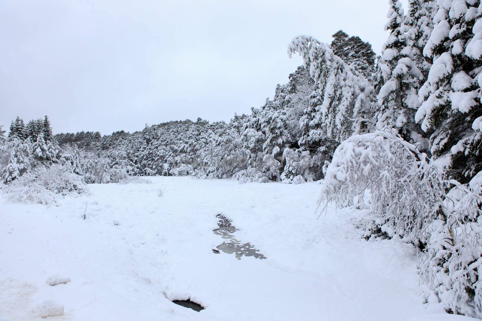 A gray winter day in Norway with snow in the air