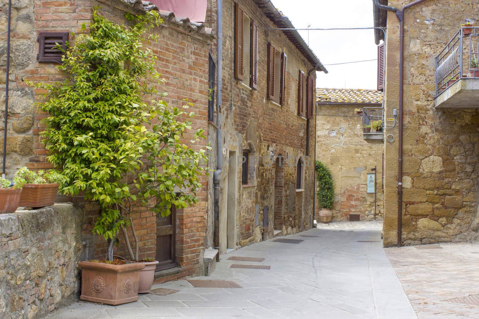 lovely tuscan street, Pienza, Italy