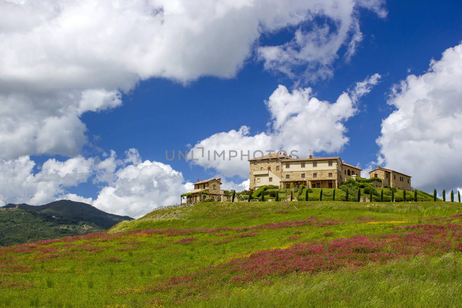 Tuscany - landscape with spring flowers, Italy