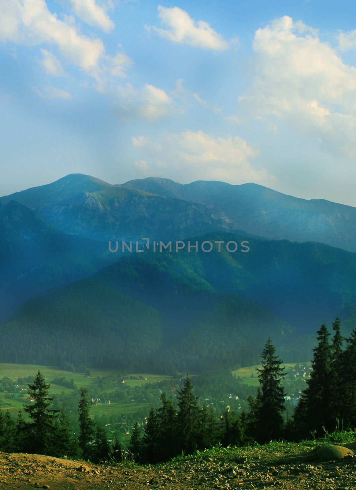 Mountains with green forest landscape.