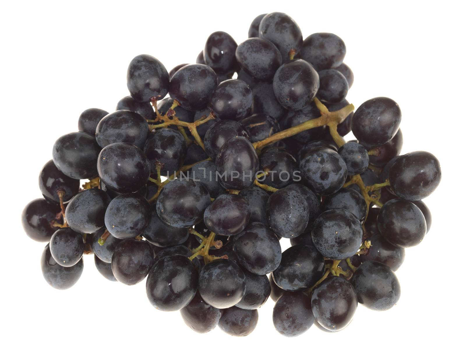 Bunch of Grapes by Whiteboxmedia