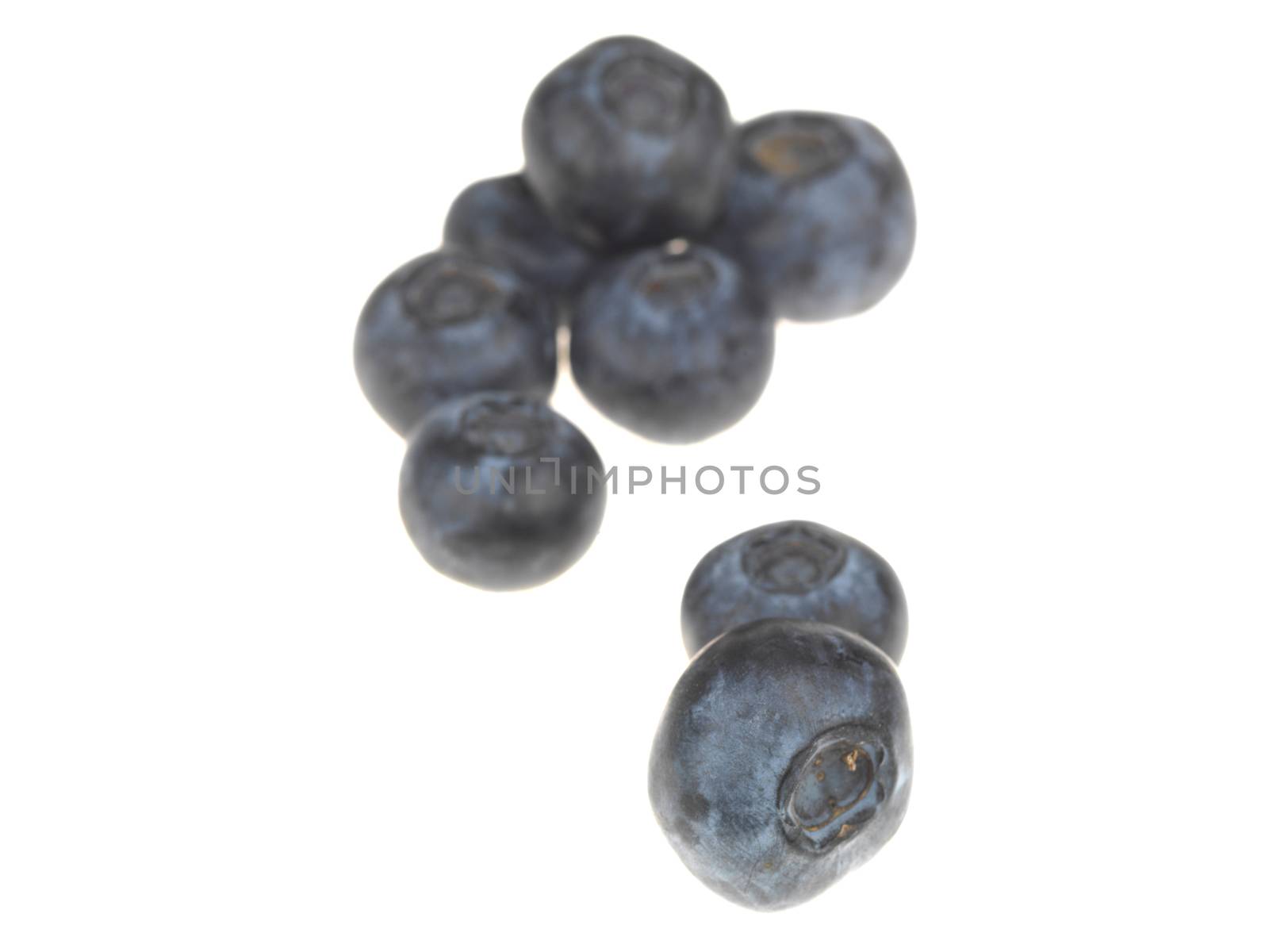 Blueberries by Whiteboxmedia