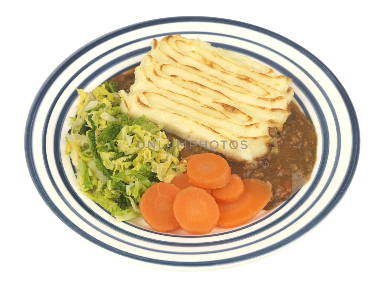 Shepherds Pie with Vegetables
