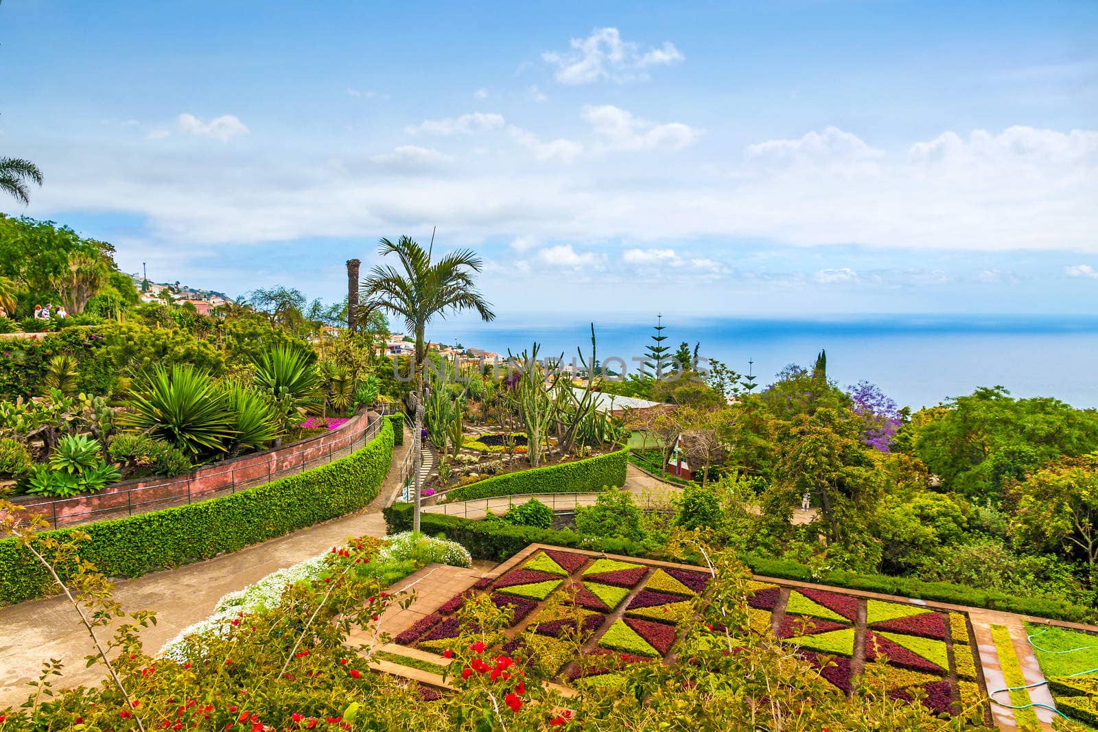 Botanical garden in Funchal, Madeira, Portugal