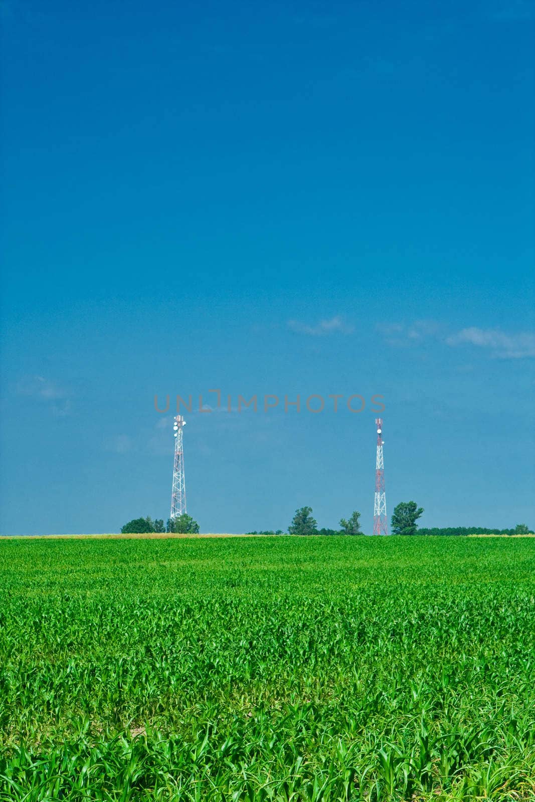 corn field and two tower vertical
