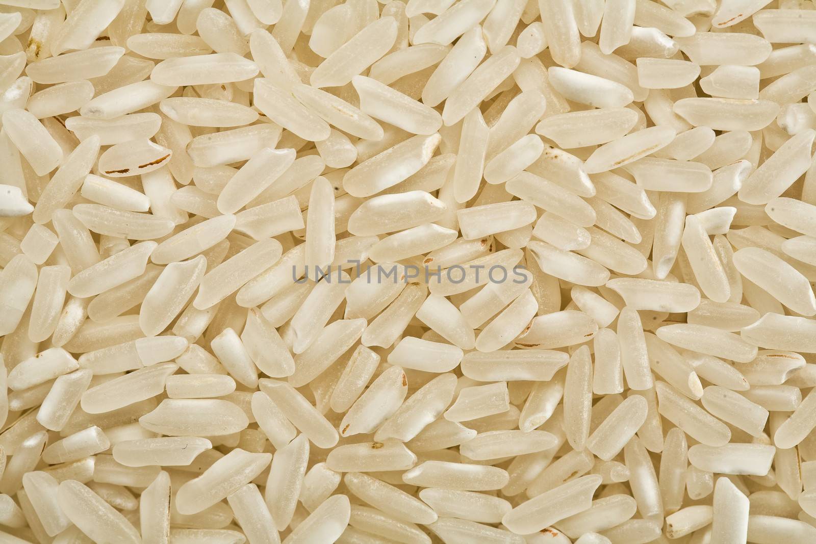 white raw rice background