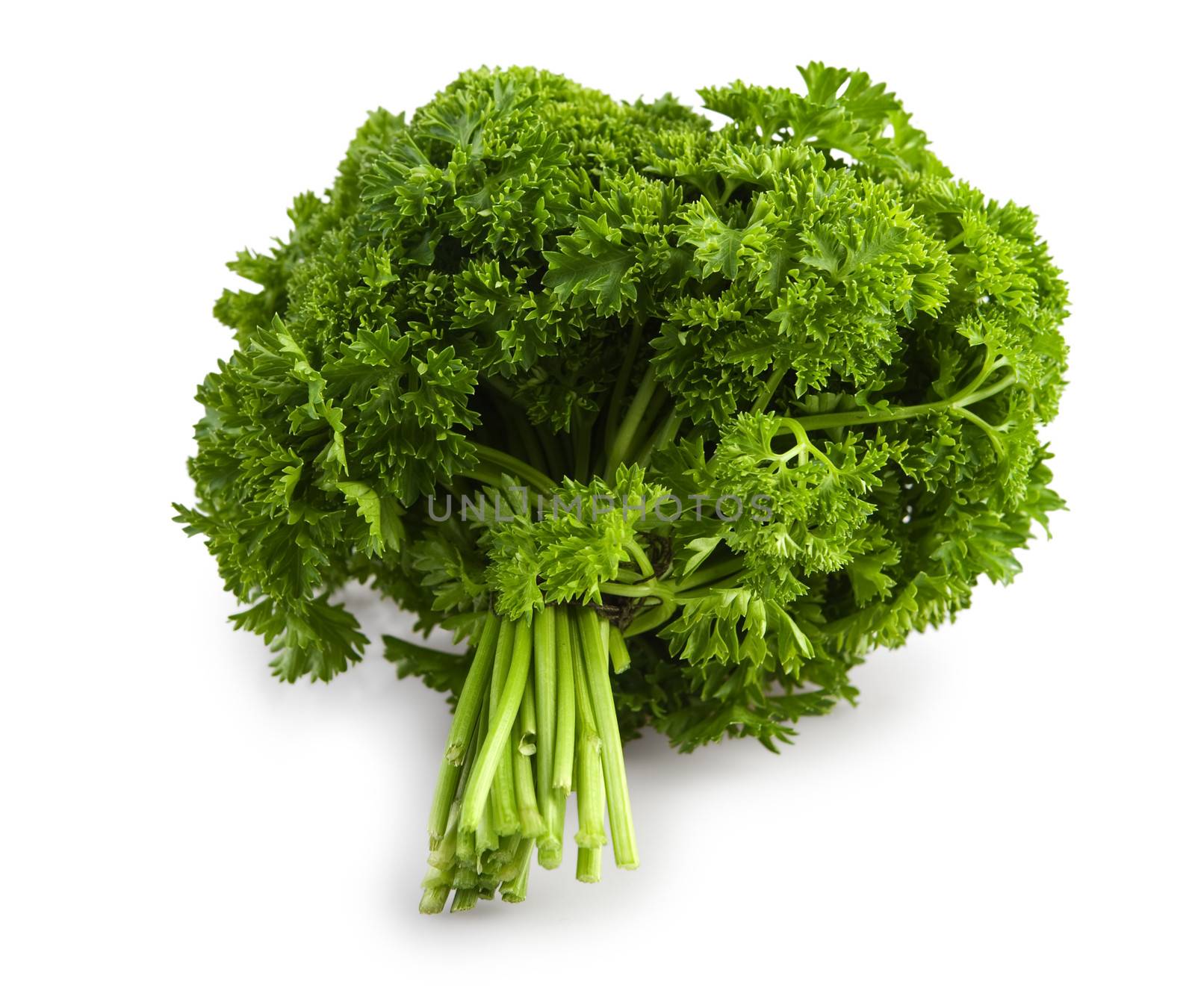 bunch of a parsley isolated