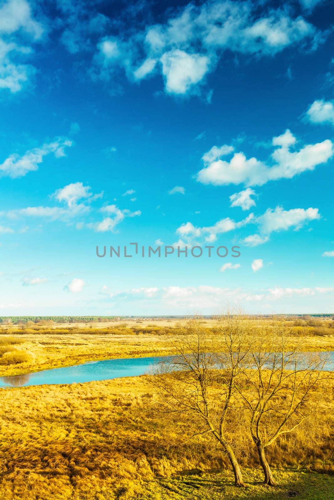 view on meadow at autumn