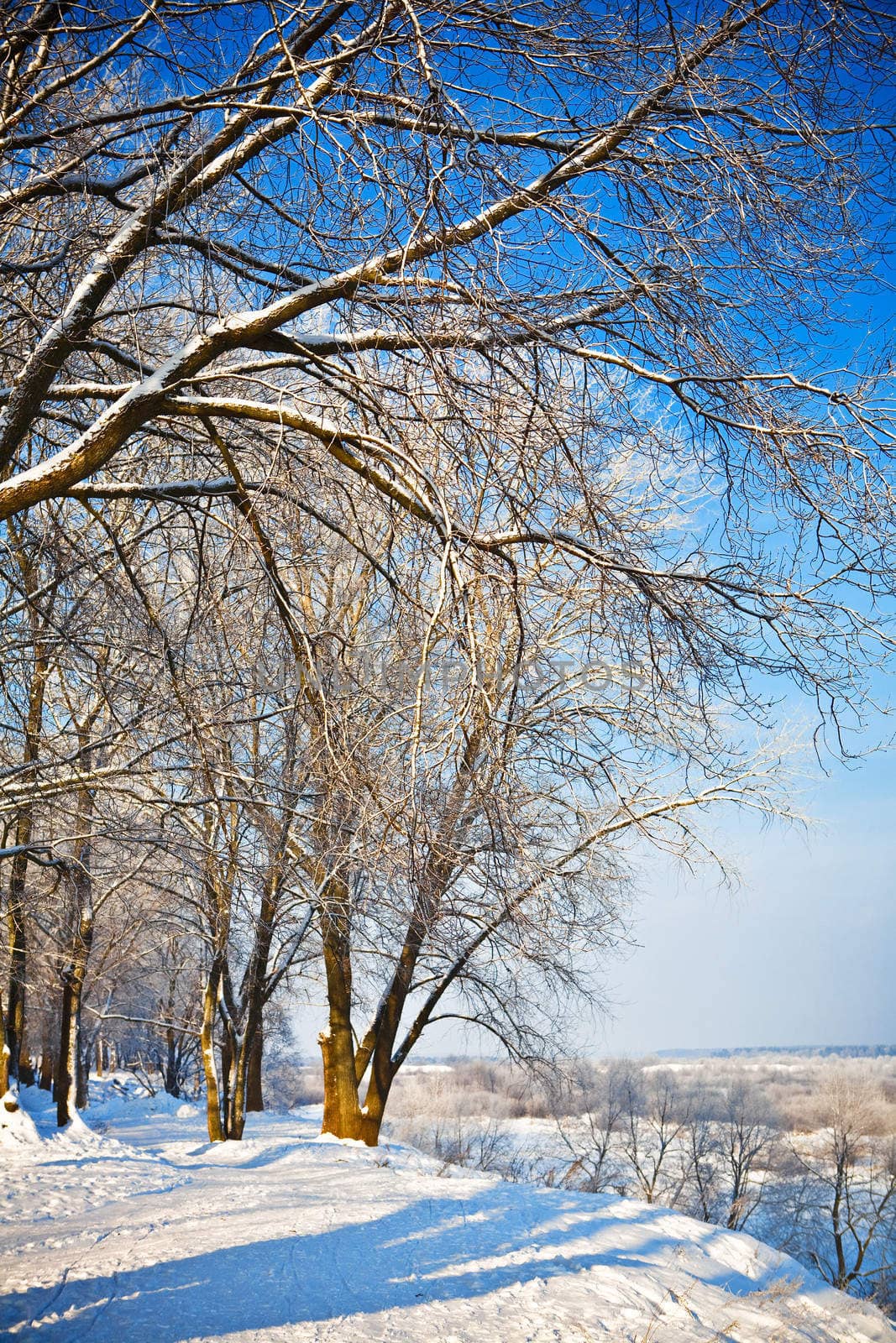park at winter