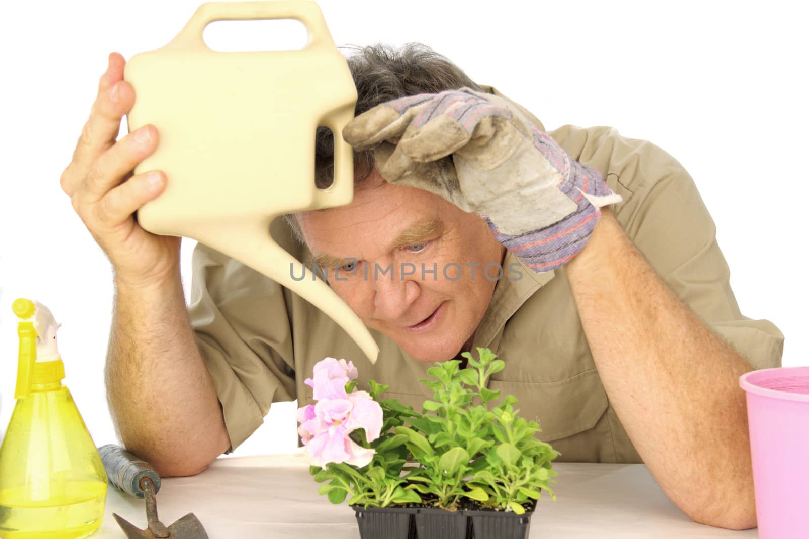 Dedicated gardener watering his beloved seedlings with a watering can.
