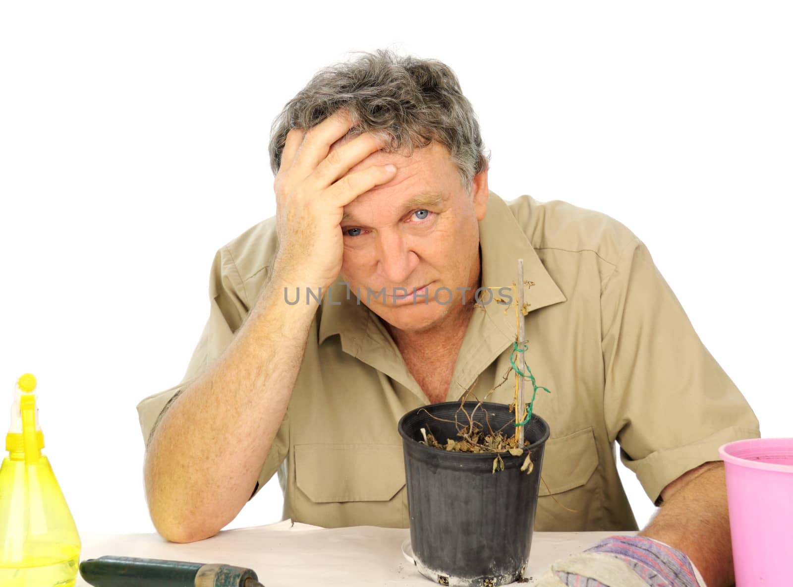 Bitterly disappointed nurseryman because his plant has died.