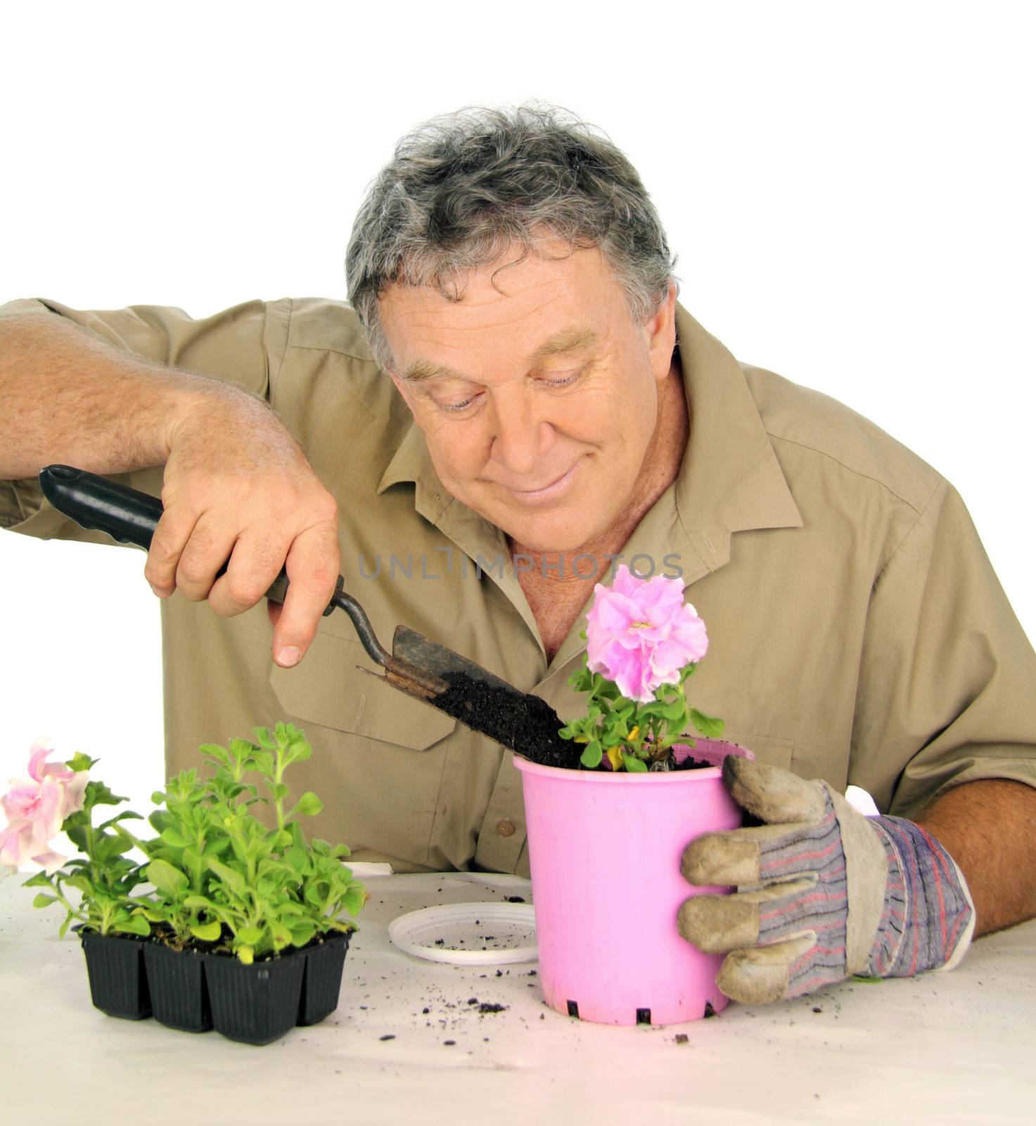 Nurseryman plants a new seedling with loving care.