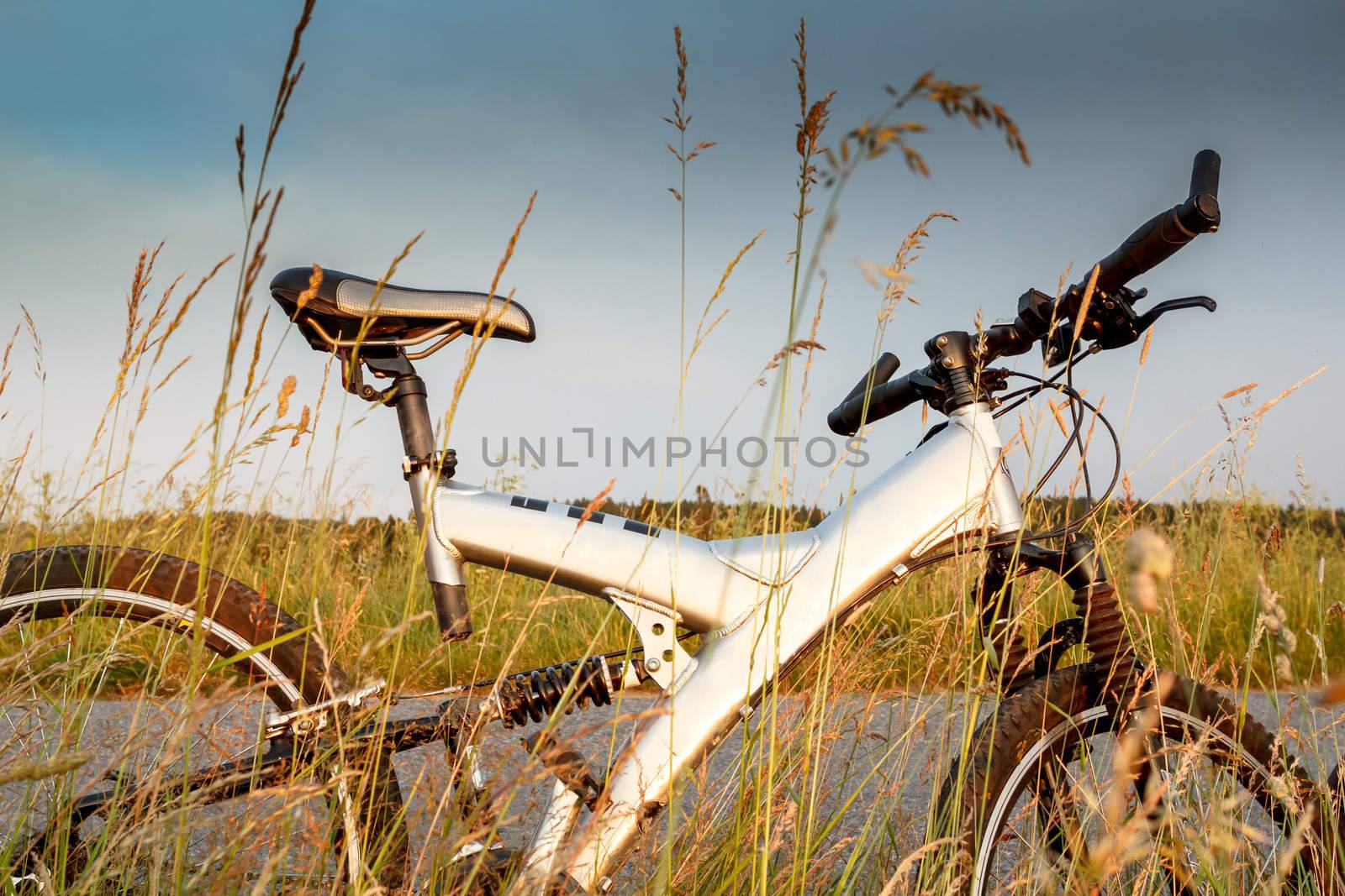 detail of MTB bike parked in grass