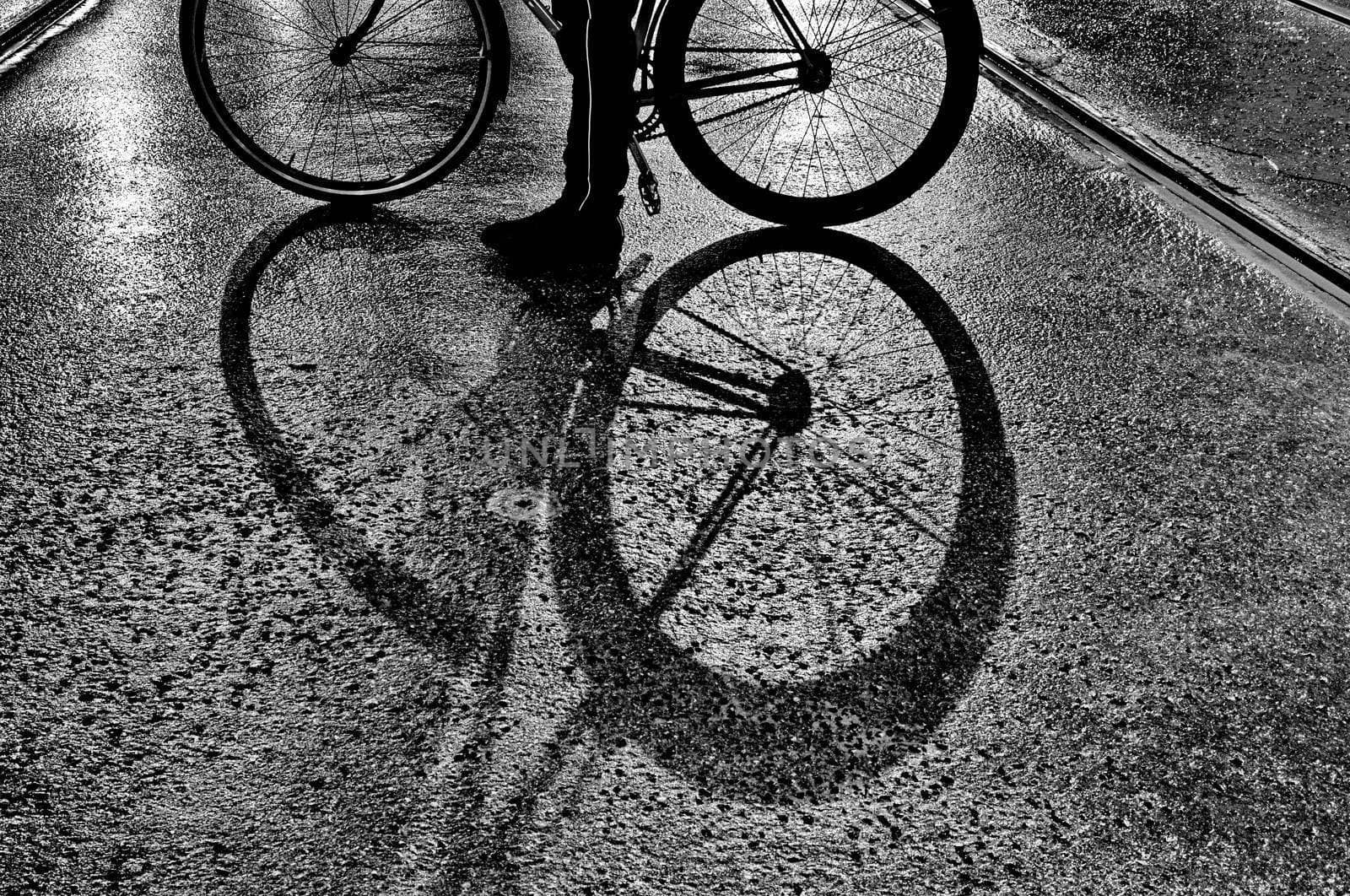 Strange shadows of the wheels of a bike