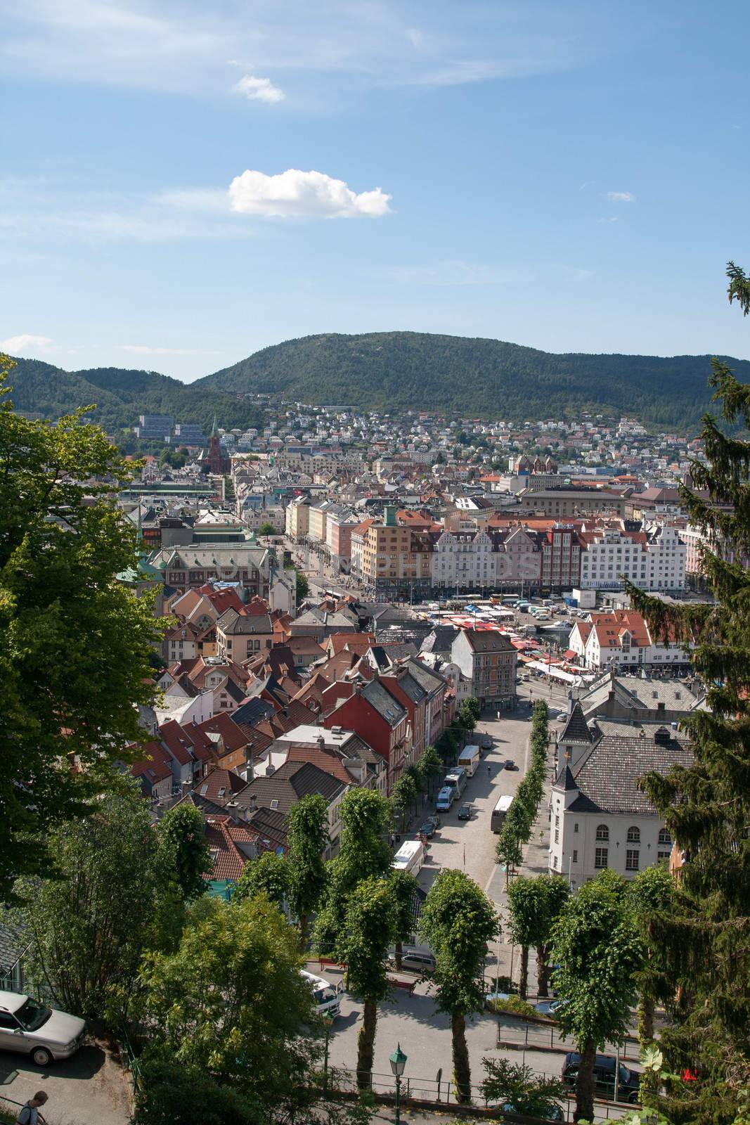 Bergen is Norway's second largest city and is situated on the North Sea is the western side of the country. The city is often referred to as "The gateway to the fjords"