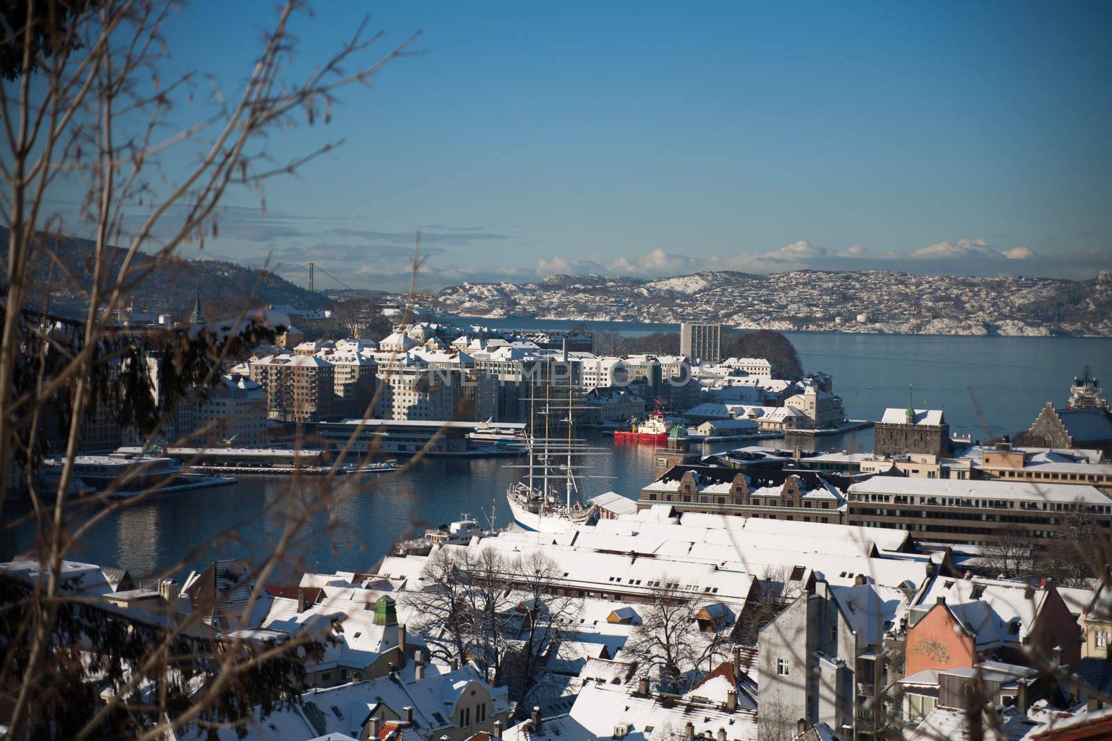 Bergen is Norway's second largest city and is situated on the North Sea is the western side of the country. The city is often referred to as "The gateway to the fjords"