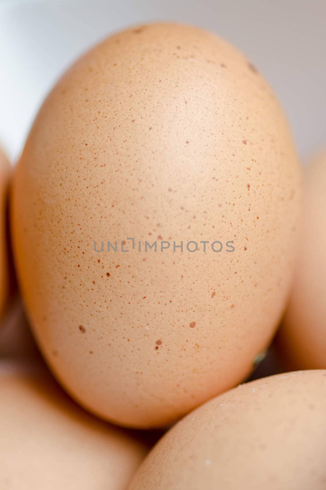 close up of fresh chicken eggs