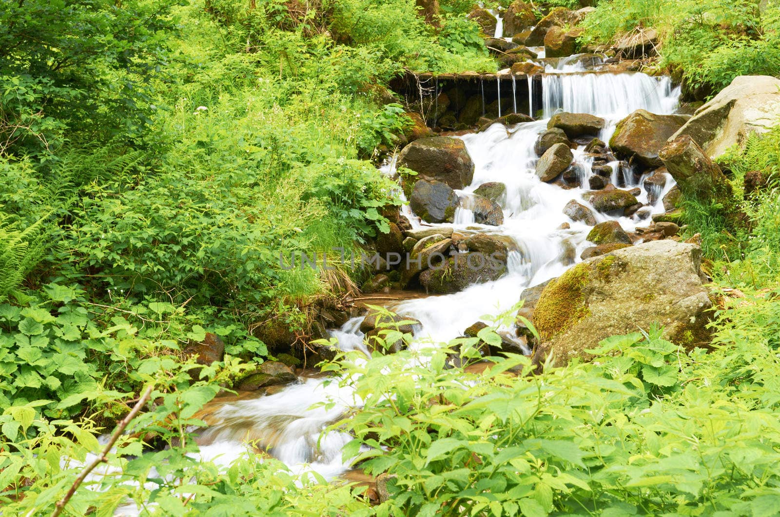 Stormy mountain waterfall in the dense forest