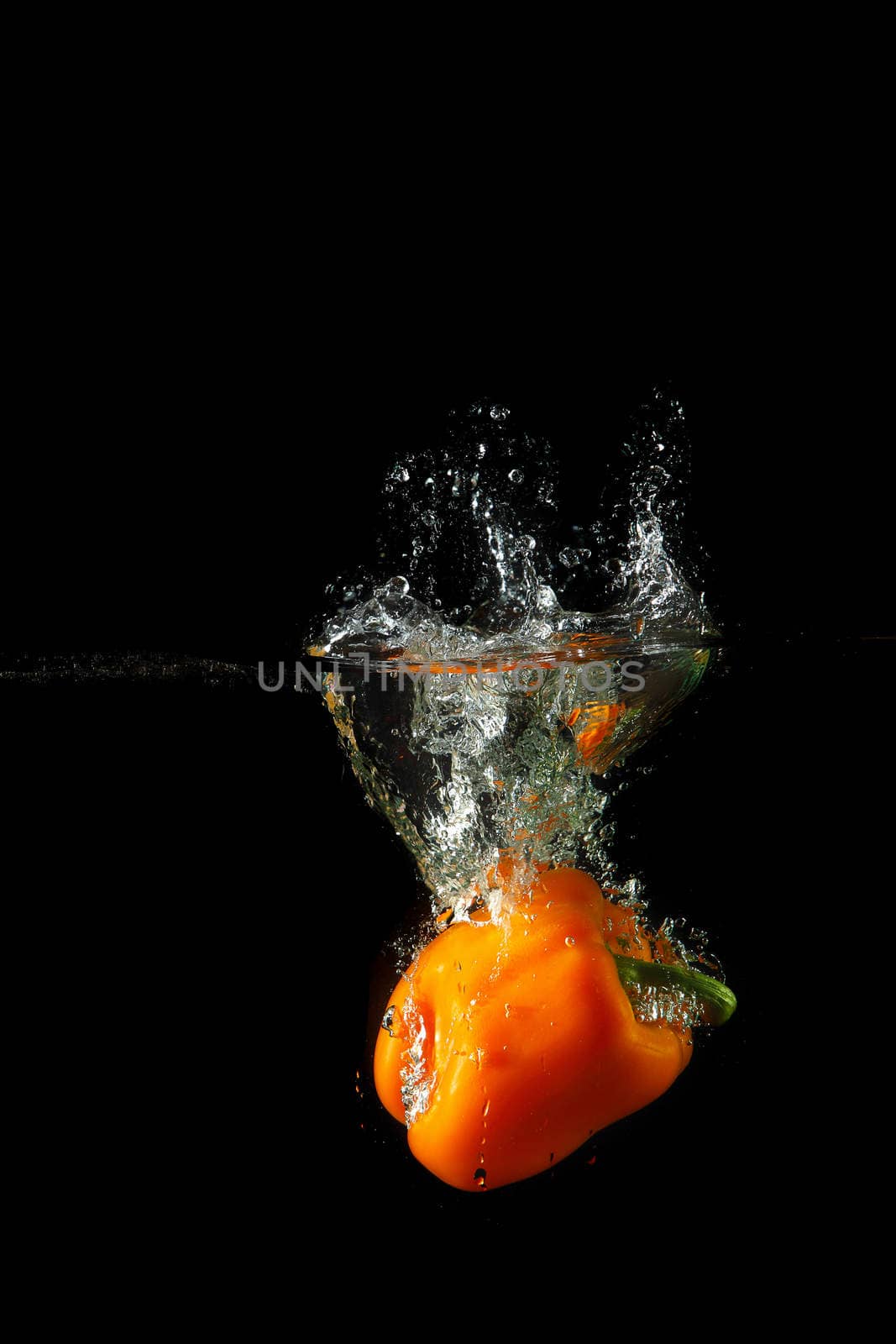 Colored orange paprika in water splashes on black background