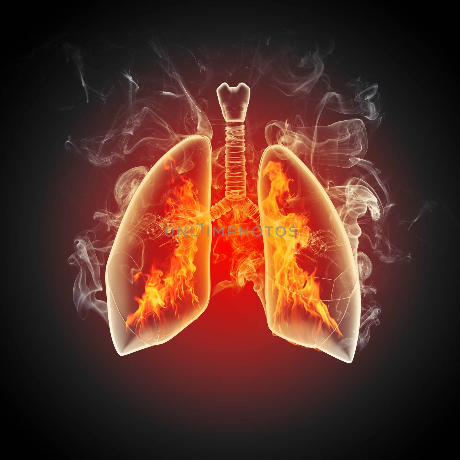 Schematic illustration of human lungs by sergey_nivens