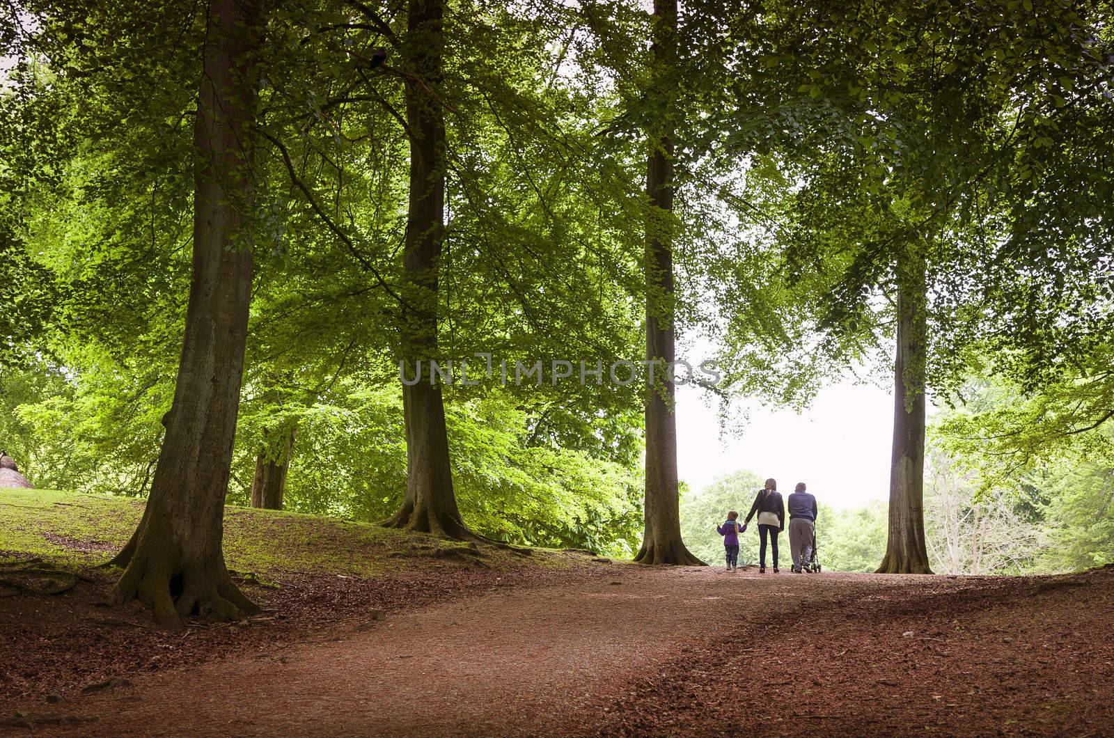 Happy family walk in a Danish forest at springtime.