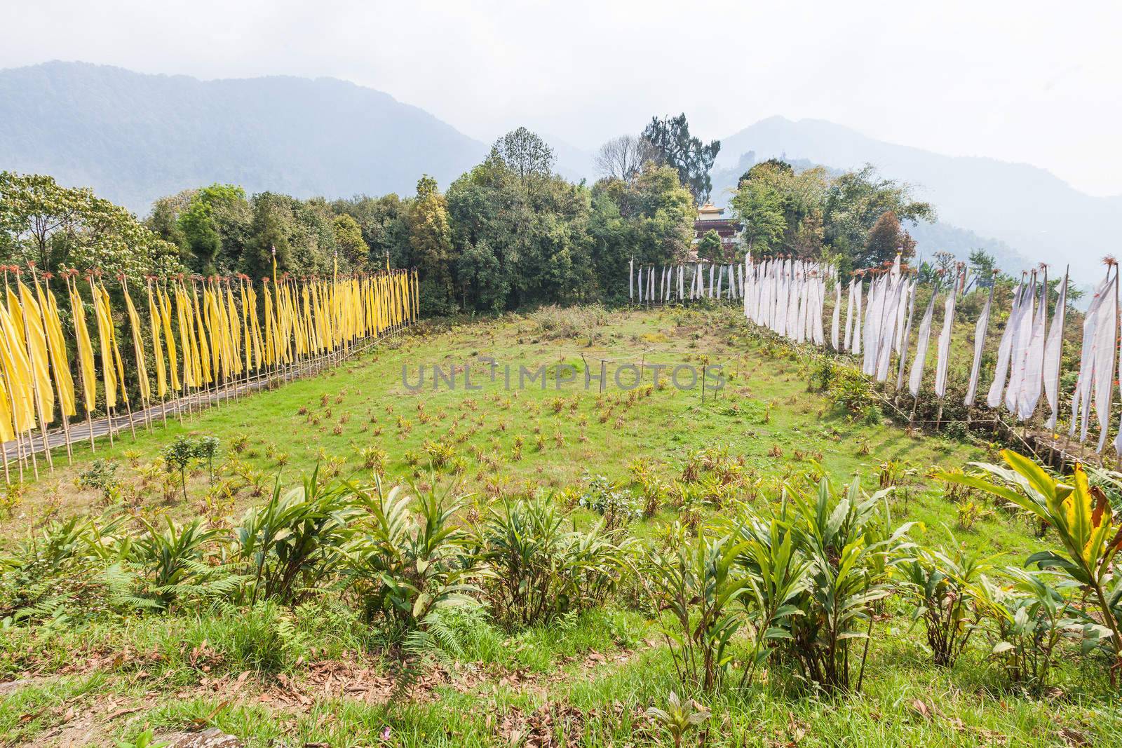 Colorful mantra flags on meadow at Yuksom, Sikkim, India.