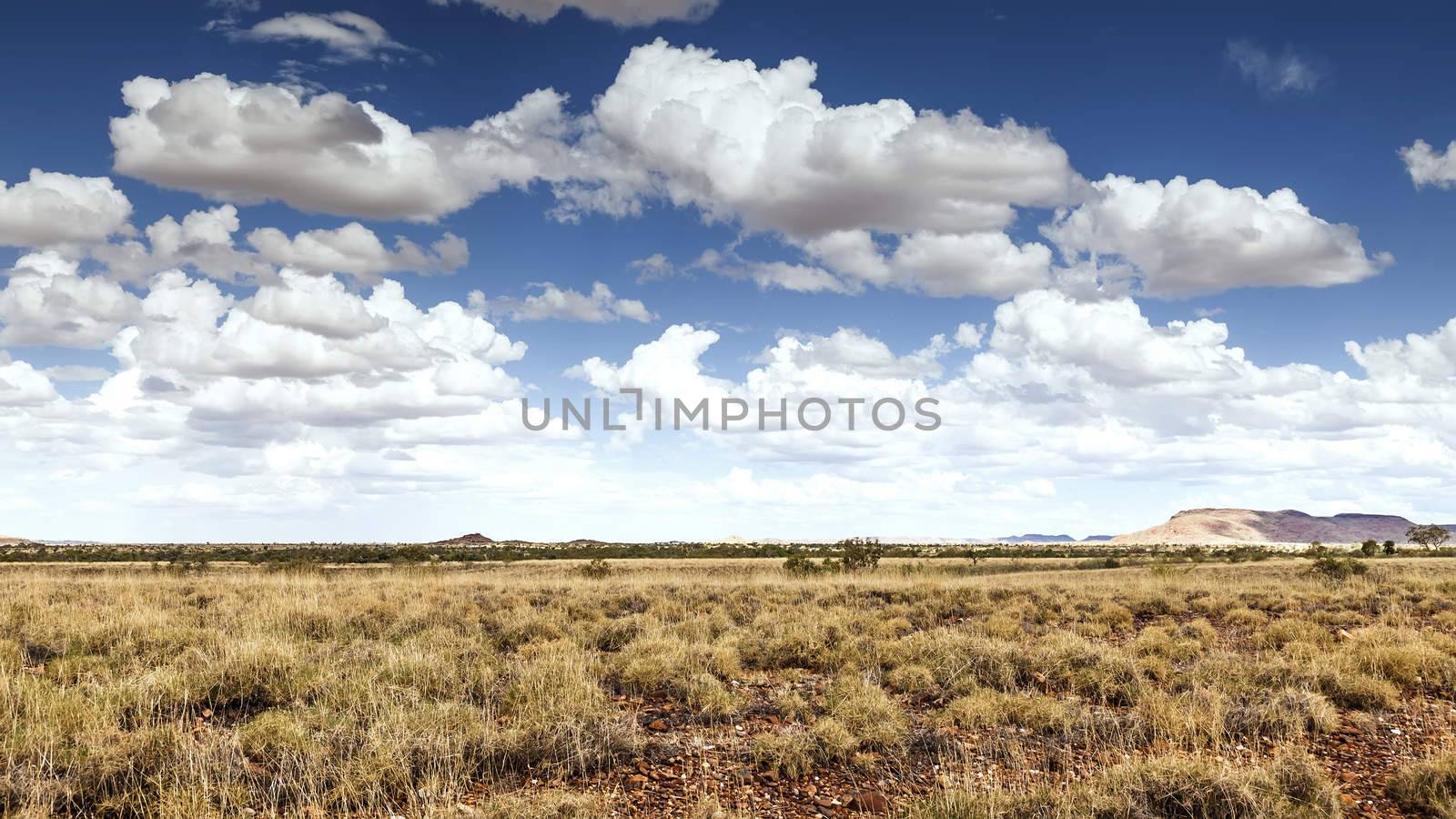 desert landscape Australia by magann
